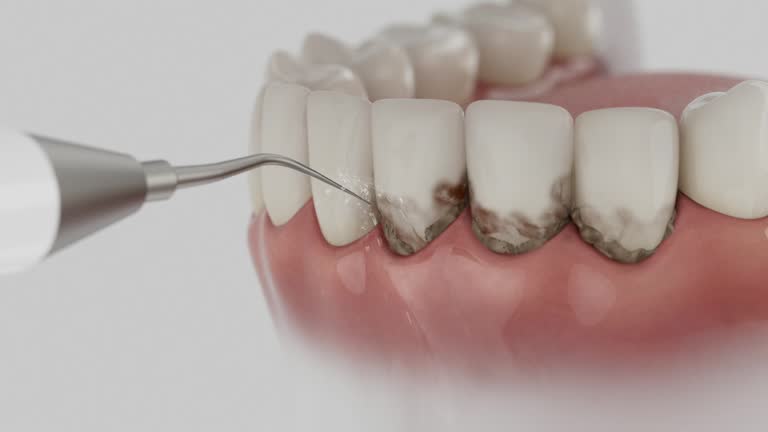 Reliable Dental contractor in Morningside, MD by Dentist Open Now